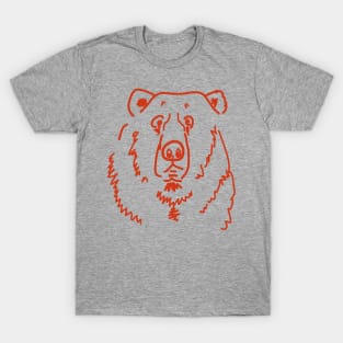 Befuddled Bear T-Shirt